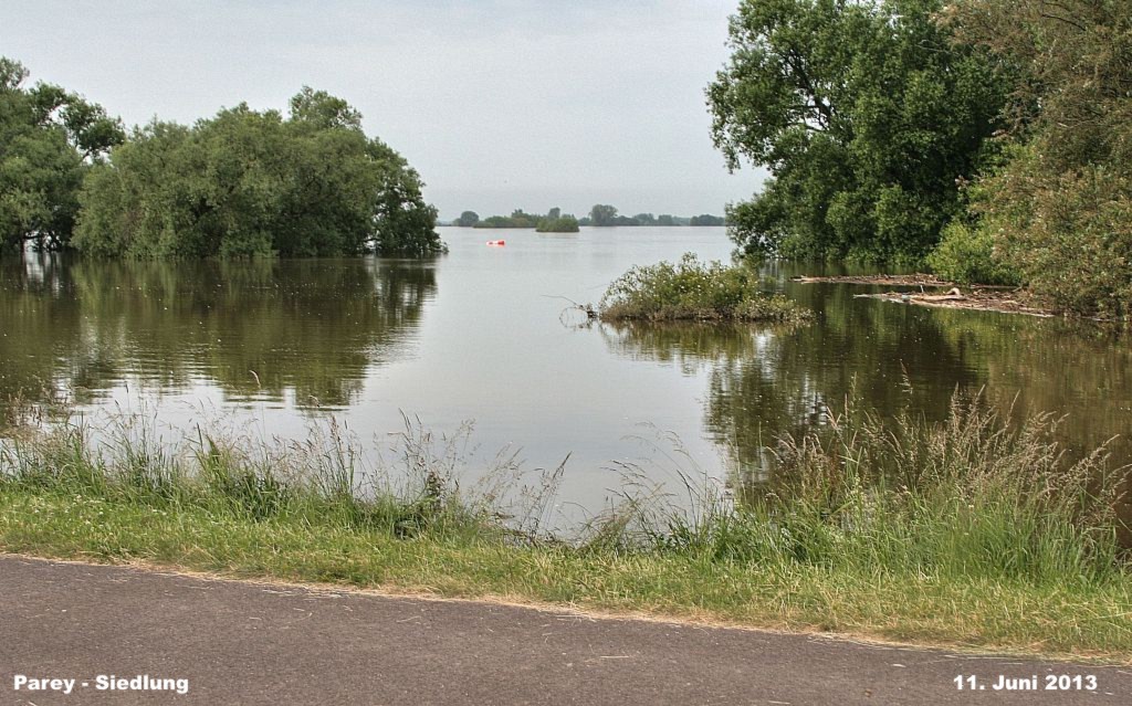 Hochwasser- 2013_06_11-004-Parey-Siedlung.jpg